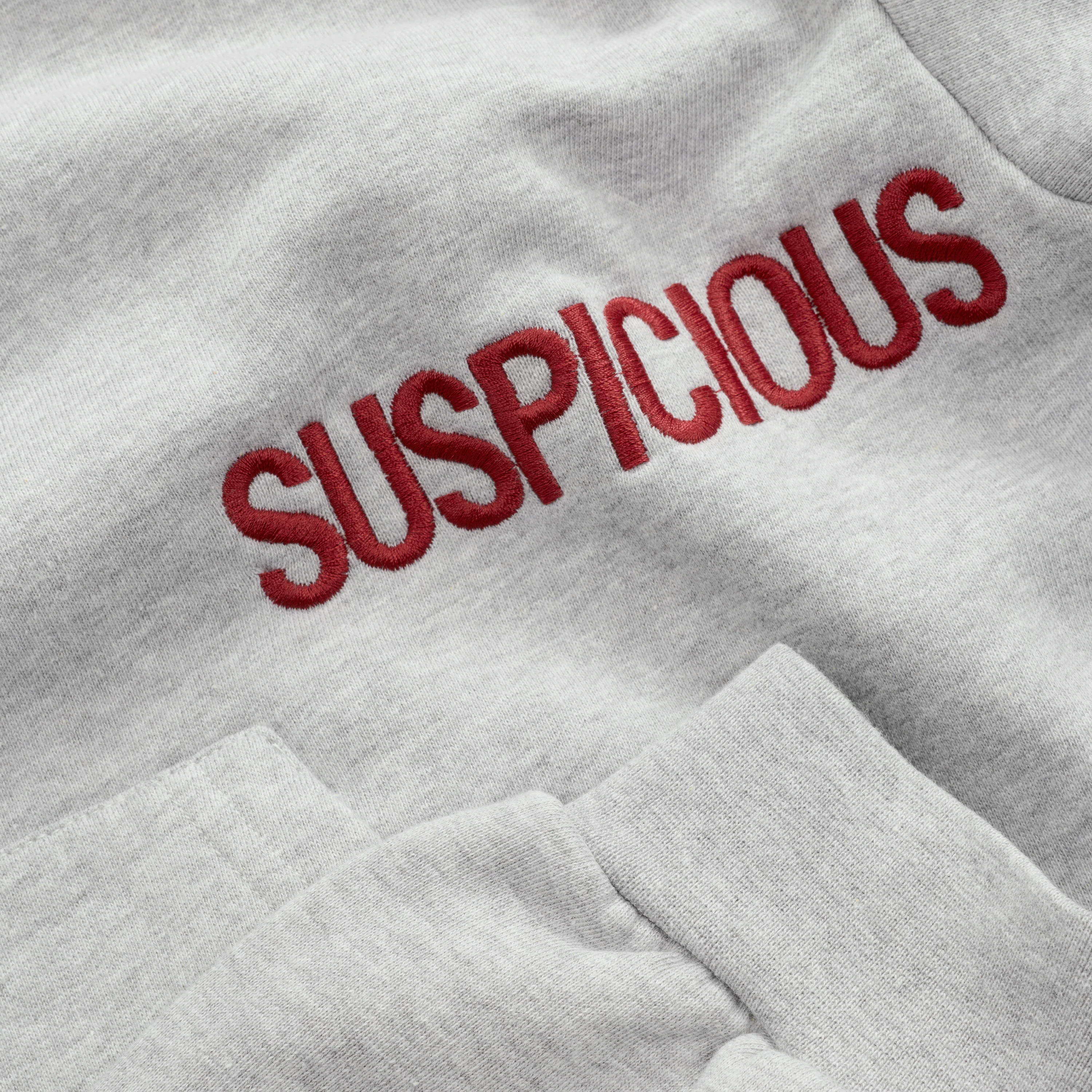 Fall / Core Hoodie - Neutral Heather - Image 5