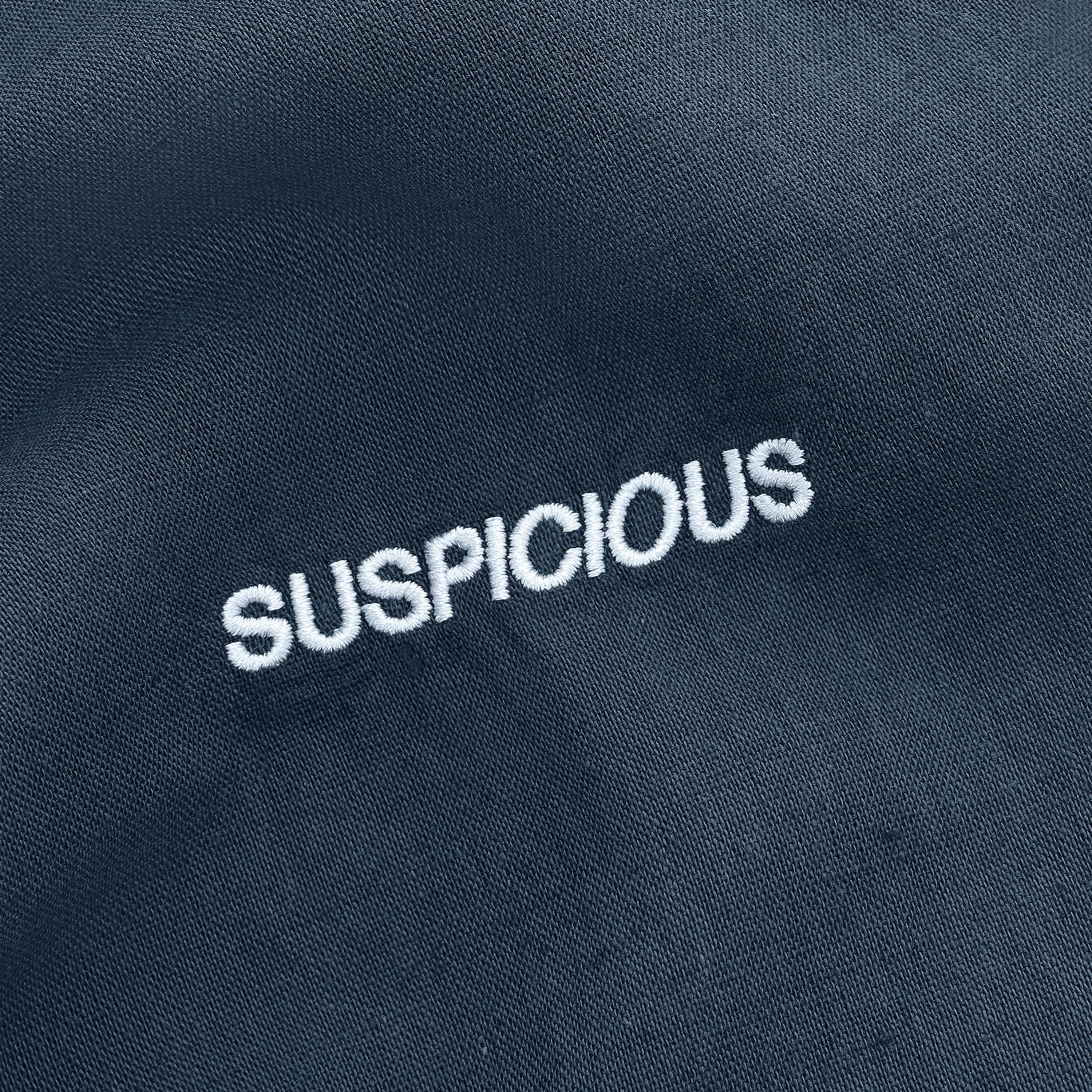 PL / Essentials Linen Longsleeve Shirt - Coastal Blue - Image 5