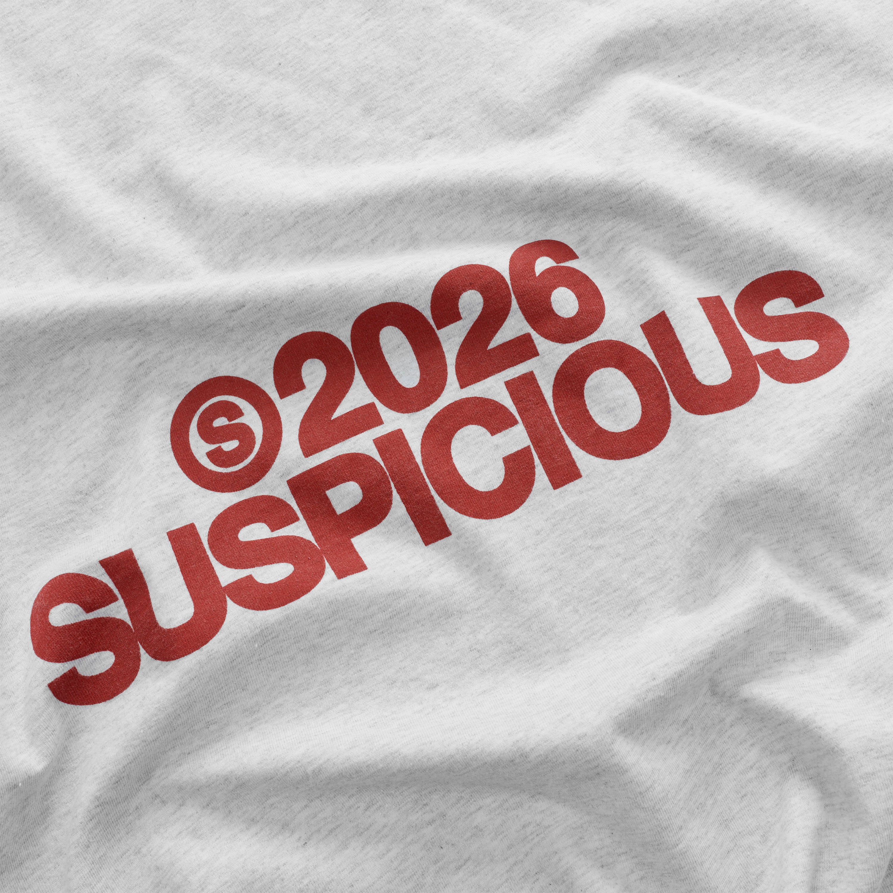 Spring 1 / S2026 Tee - Ash - Image 4