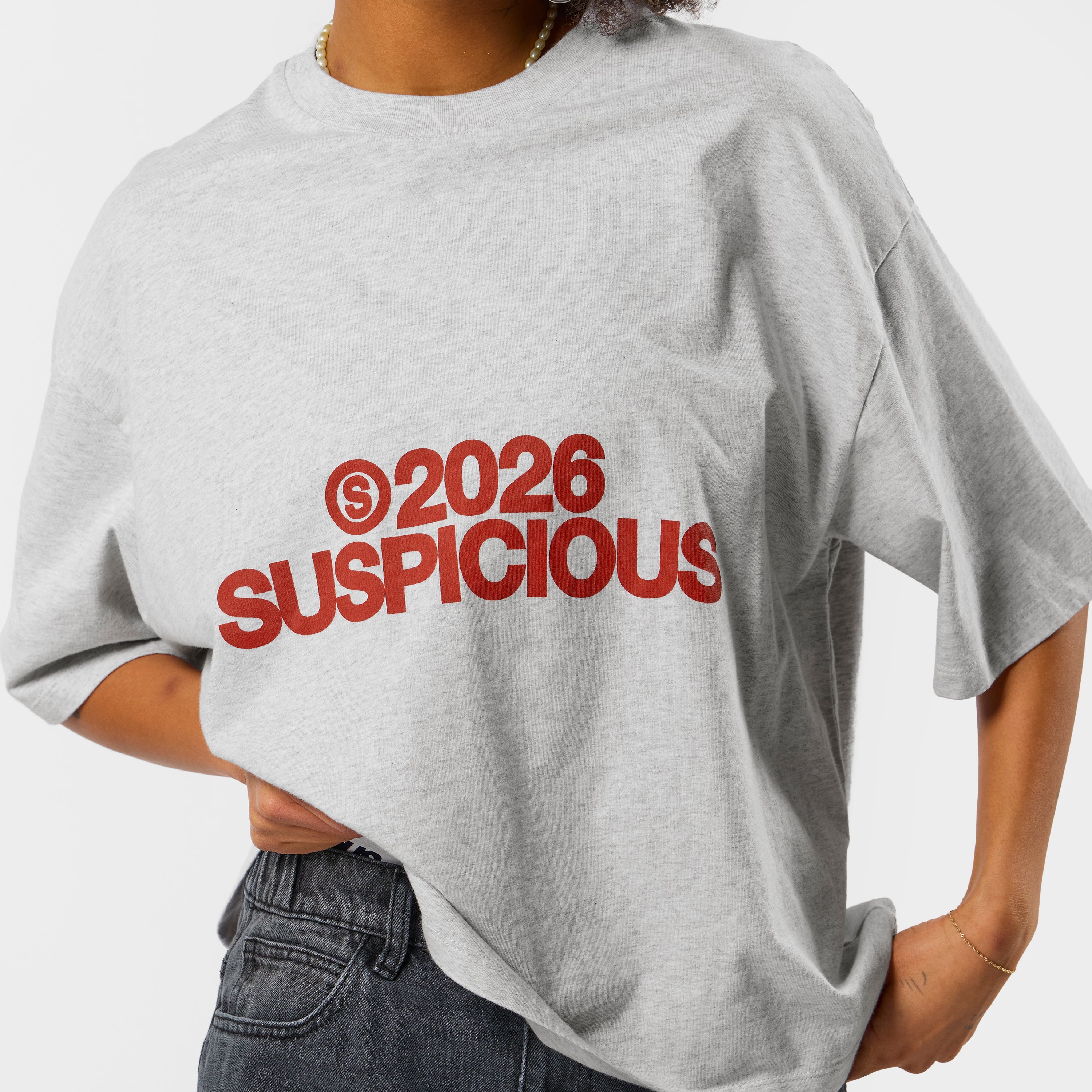 Spring 1 / S2026 Tee - Ash - Image 6